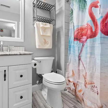 New Tropical Island Oasis Apartment Baltimore Exterior photo