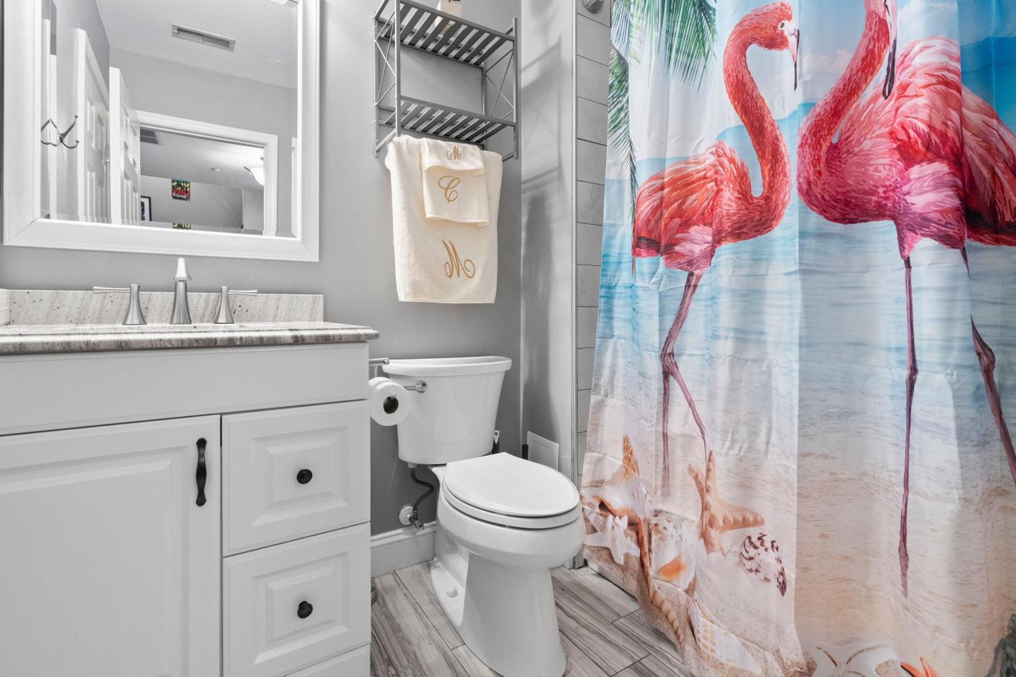 Apartment New Tropical Island Oasis Baltimore